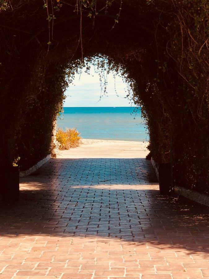 Las Terrazas - Primera Linea De Playa Con Netflix, Disney, Movistar Con Todo El Futbol, Series, Cine Y Prime Video Oropesa del Mar Bagian luar foto